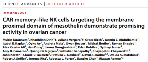 靶向间皮素的CAR记忆样NK细胞：卵巢癌治疗的新希望